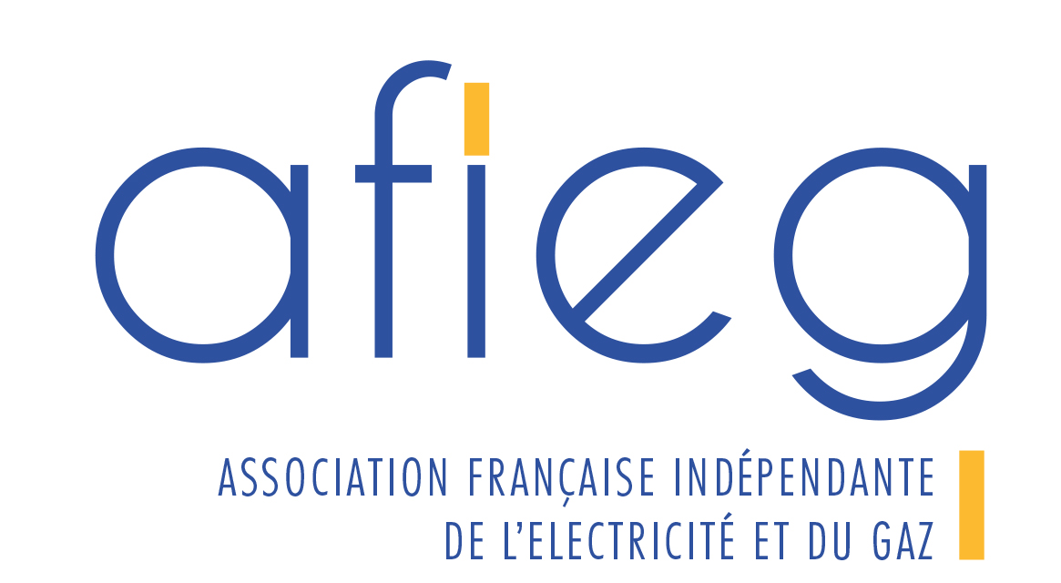 Logo AFIEG